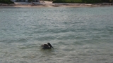 Belize-San_Pedro-07