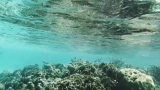 Belize-San_Pedro-16