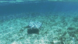 Belize-San_Pedro-17