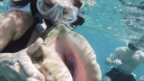 Belize-San_Pedro-20