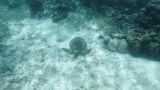 Belize-San_Pedro-22
