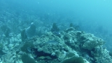 Belize-San_Pedro-37