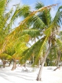 Belize-San_Pedro-43