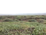 Iceland-Land- (109)