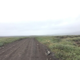 Iceland-Land- (110)