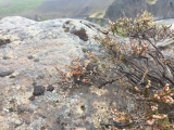 Iceland-Land- (117)