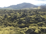 Iceland-Land- (205)