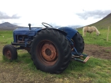 Iceland-Land- (213)