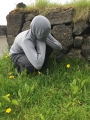Iceland-Land- (268)