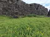 Iceland-Land- (285)