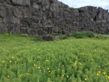 Iceland-Land- (287)