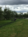 Iceland-Land- (303)