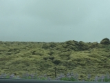 Iceland-Land- (40)