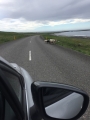 Iceland-Land- (80)