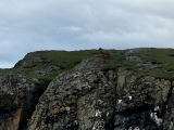 Iceland_Sea (104)