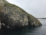 Iceland_Sea (107)