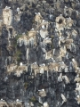 Iceland_Sea (109)
