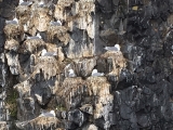Iceland_Sea (111)