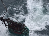 Iceland_Sea (115)