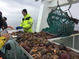Iceland_Sea (124)