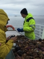 Iceland_Sea (125)
