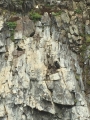 Iceland_Sea (145)