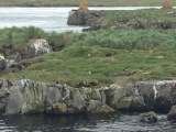 Iceland_Sea (155)