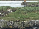 Iceland_Sea (156)