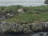 Iceland_Sea (157)