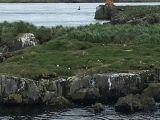 Iceland_Sea (158)