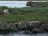 Iceland_Sea (159)