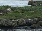 Iceland_Sea (160)