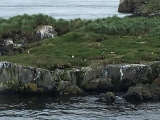 Iceland_Sea (161)