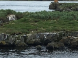 Iceland_Sea (162)