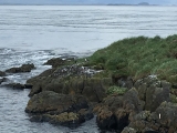 Iceland_Sea (163)
