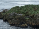 Iceland_Sea (164)