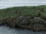 Iceland_Sea (165)