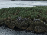 Iceland_Sea (166)