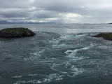 Iceland_Sea (170)