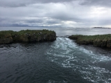 Iceland_Sea (177)