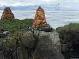 Iceland_Sea (180)