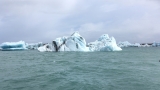 Iceland_Sea (30)
