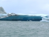 Iceland_Sea (35)