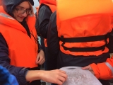 Iceland_Sea (53)