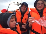 Iceland_Sea (56)