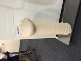 Iceland-Phallus-Museum-08