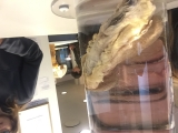 Iceland-Phallus-Museum-13