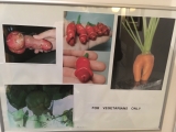 Iceland-Phallus-Museum-19