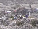 titicaca-002
