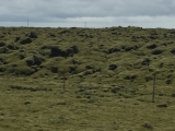 Iceland-Waterfalls-76